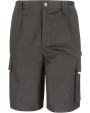 RESULT Work-guard Action Shorts  personalisierbar
