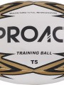 Accessoires à personnaliser PROACT Ballon challenger T5 