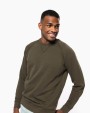 Sweat-shirt personnalisable KARIBAN Sweat-shirt Bio col rond manches raglan homme