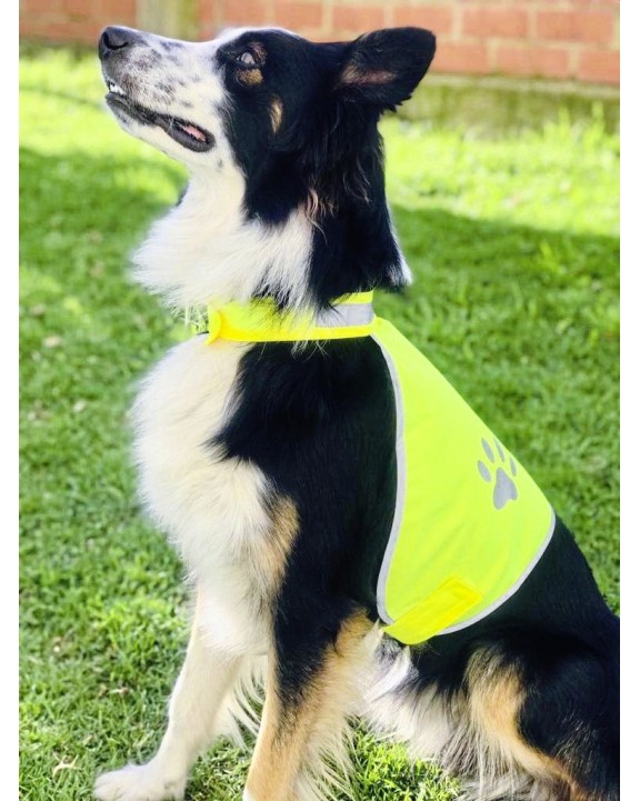 Accessoire KORNTEX fluovestje honden voor bedrukking &amp; borduring