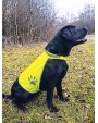 KORNTEX Safety Vest for Dogs Accessoire personalisierbar