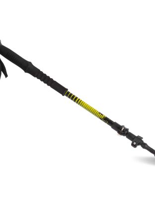 Bâton de trekking télescopique