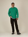 Sweat-shirts à personnaliser STANLEY/STELLA Roller Verdant Green