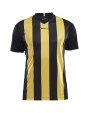 T-shirt CRAFT Progress Jersey Stripe M voor bedrukking &amp; borduring