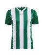 T-shirt CRAFT Progress Jersey Stripe M voor bedrukking &amp; borduring