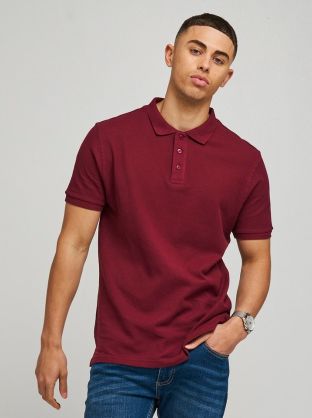 Polo 100