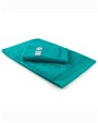 Produit éponge personnalisable A&R Guest Towel Excellent Deluxe