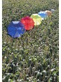 PRINTWEAR Automatic Umbrella With Wooden Handle  personnalisable