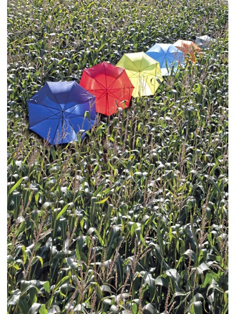 PRINTWEAR Automatic Umbrella With Wooden Handle  personnalisable