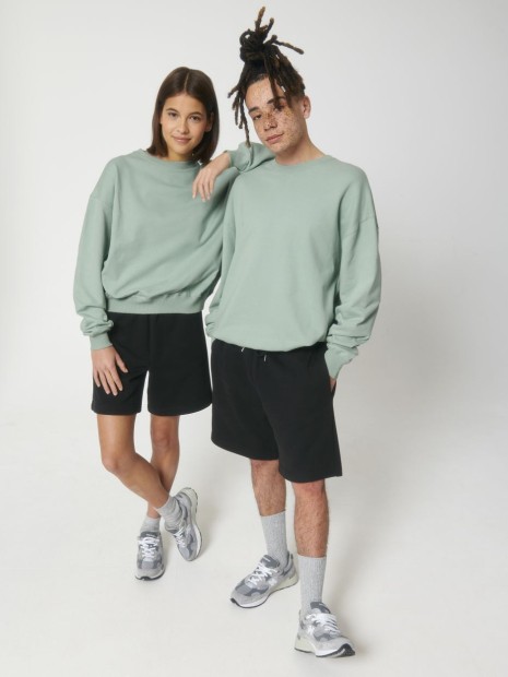 Sweat-shirts à personnaliser STANLEY/STELLA Ledger Dry aloe