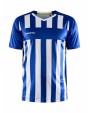CRAFT Progress 2.0 Stripe Jersey M T-Shirt personalisierbar