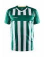 T-shirt CRAFT Progress 2.0 Stripe Jersey M voor bedrukking &amp; borduring