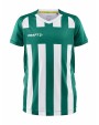 T-shirt CRAFT Progress 2.0 Stripe Jersey JR voor bedrukking &amp; borduring