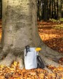 Sac & bagagerie personnalisable 4DO Sac isotherme à bandoulière Tierra