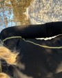 Ondergoed PROJOB 3109 THERMISCH T-SHIRT LANGE MOUWEN WOL DAMES voor bedrukking &amp; borduring