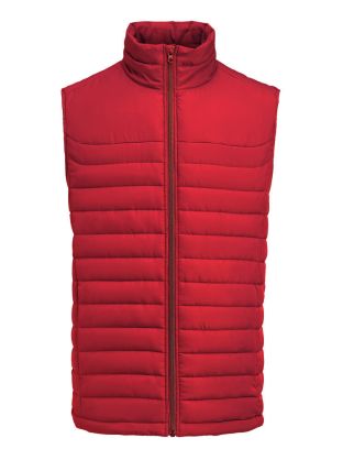 Arches Vest
Bodywarmer Hommes