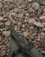 Parapluie personnalisable VINGA VINGA Parapluie de 23 pouces Baltimore en rPET AWARE™