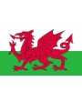 Accessoire PRINTWEAR Flag Wales voor bedrukking &amp; borduring
