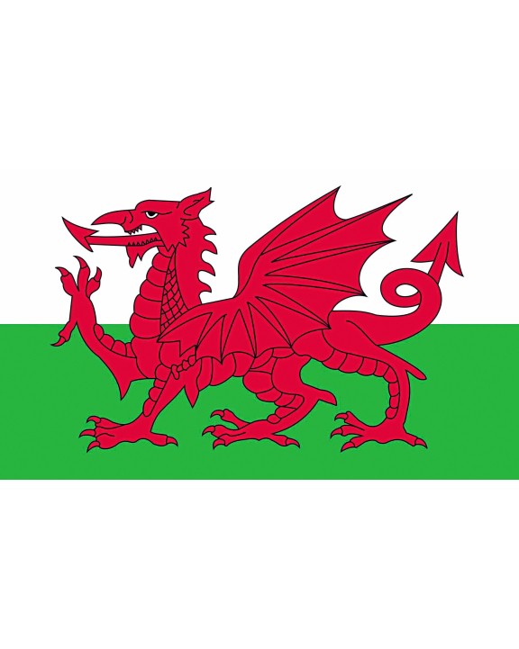 Accessoire PRINTWEAR Flag Wales voor bedrukking &amp; borduring