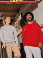 Sweat-shirts à personnaliser SG CLOTHING Raglan Sweatshirt Men 